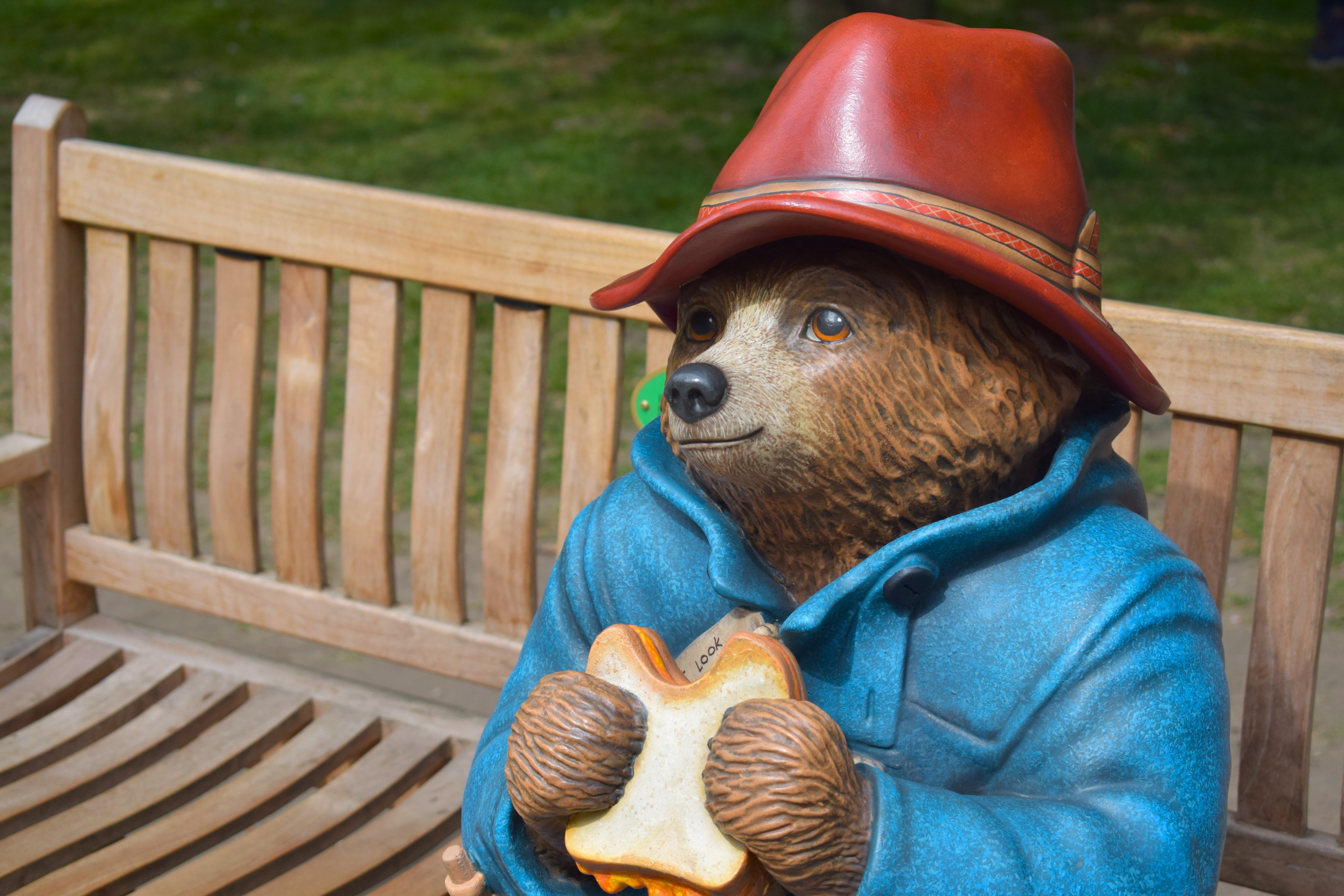 Paddington Bear himself, with one of his sandwiches