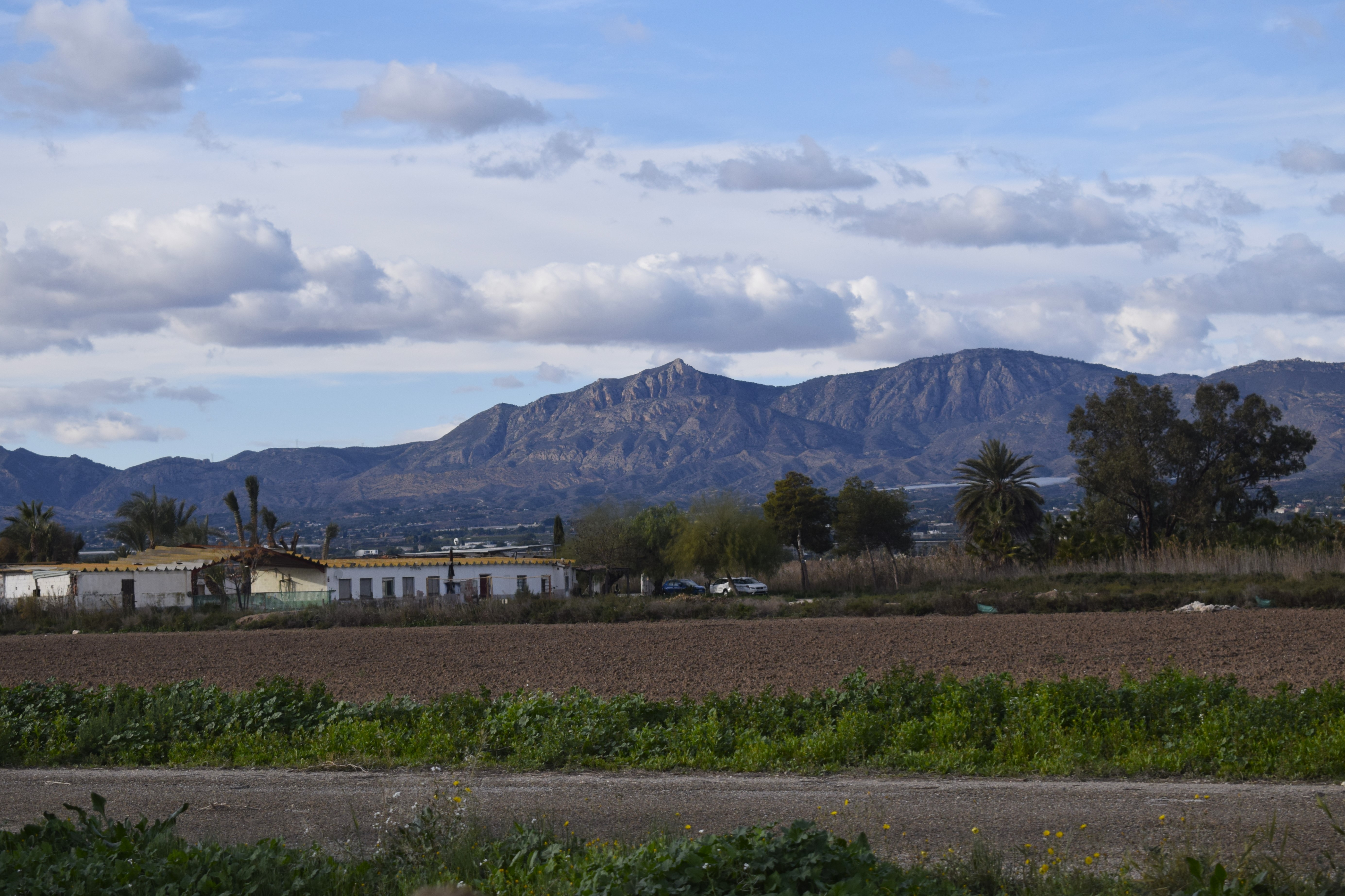 Views from beside the road on the way back.