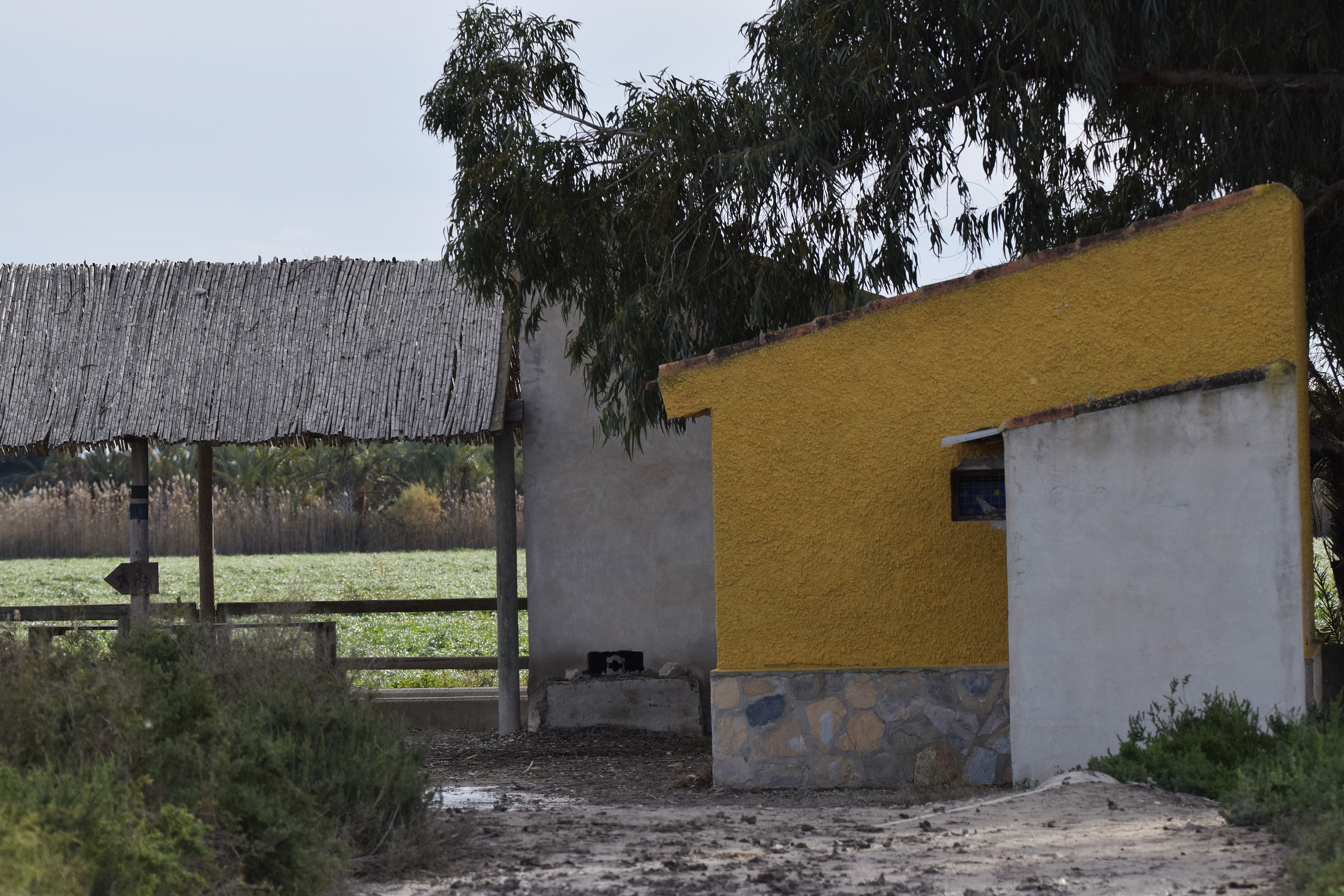 A random shed from along the path. Even the most dilapidated buildings seemed to be painted bright colours.