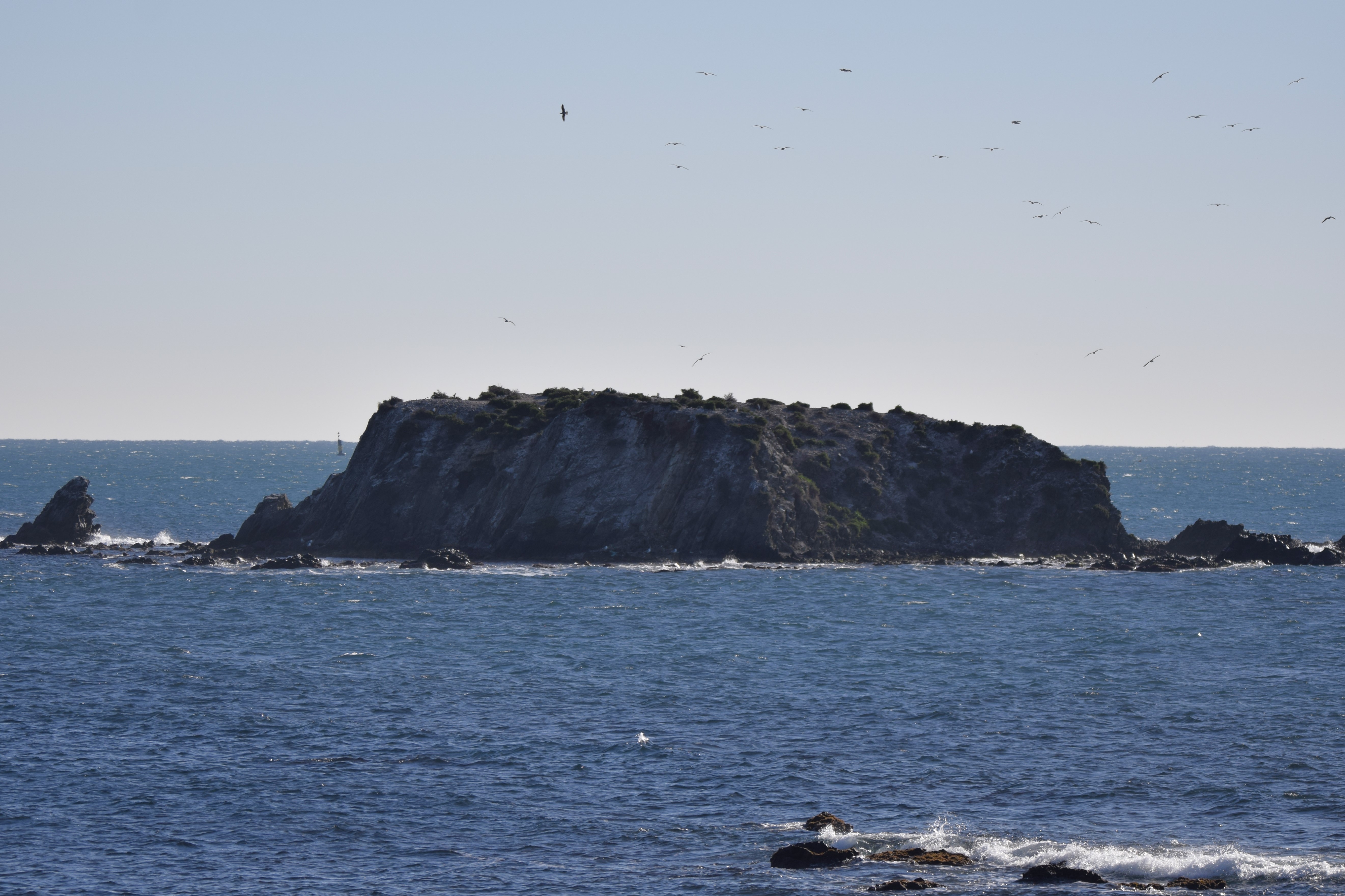 The final island is part of a thriving nature reserve.