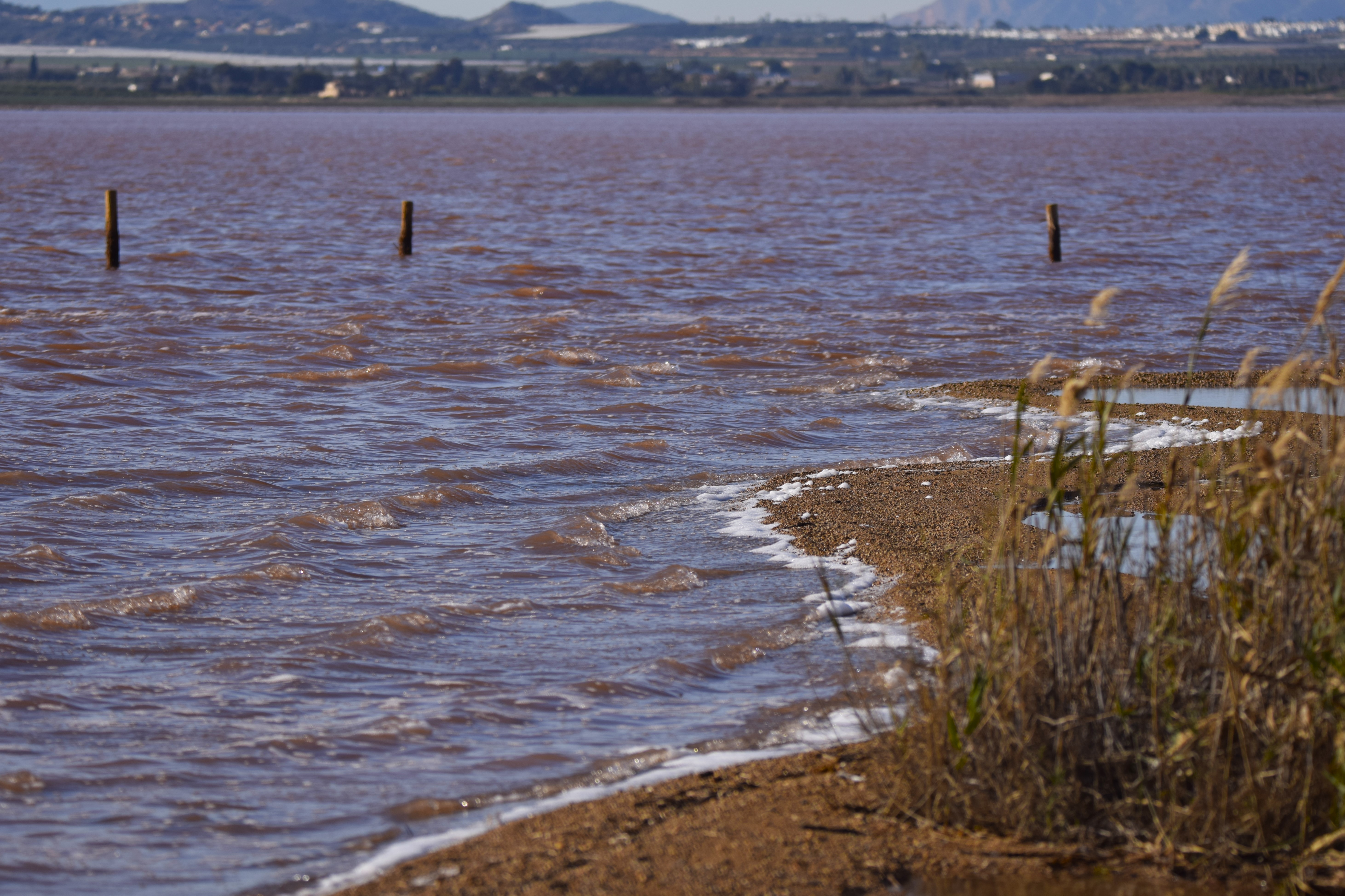 The Pink Lake of Torrevieja! It's not as pink as you'd expect.