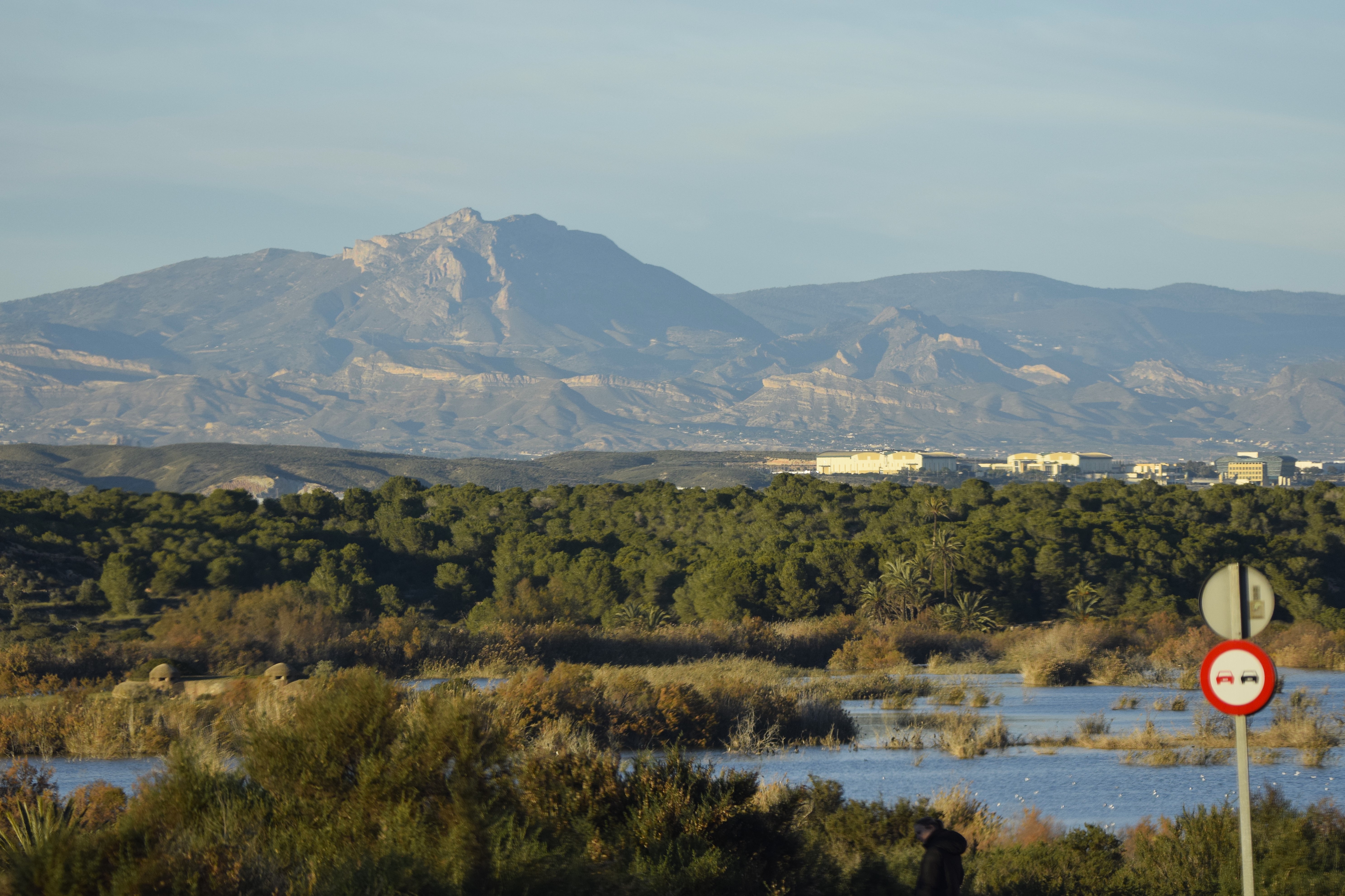 Views of the Sierra.