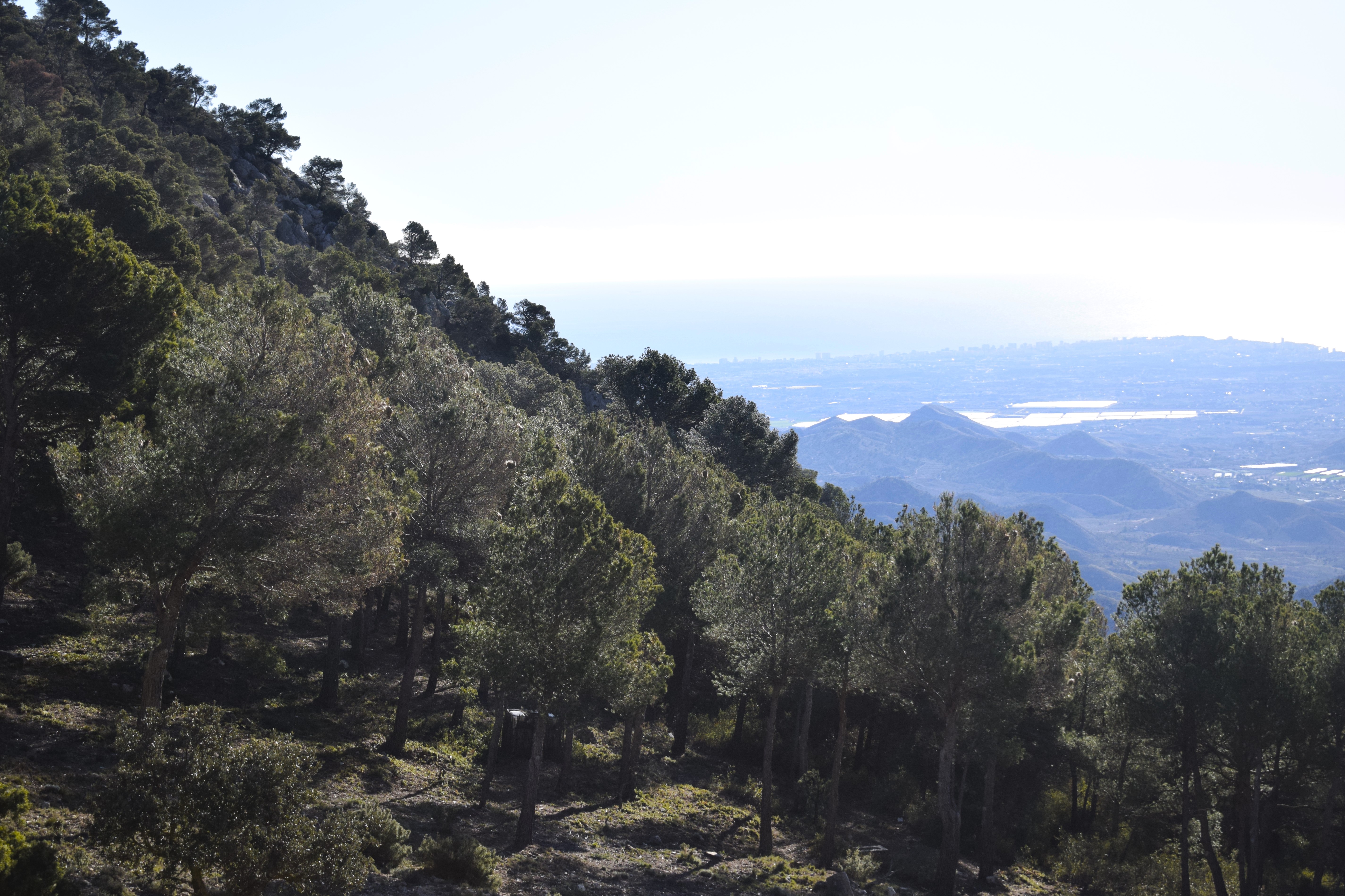 More views from above. Alicante itself can be seen in the background.