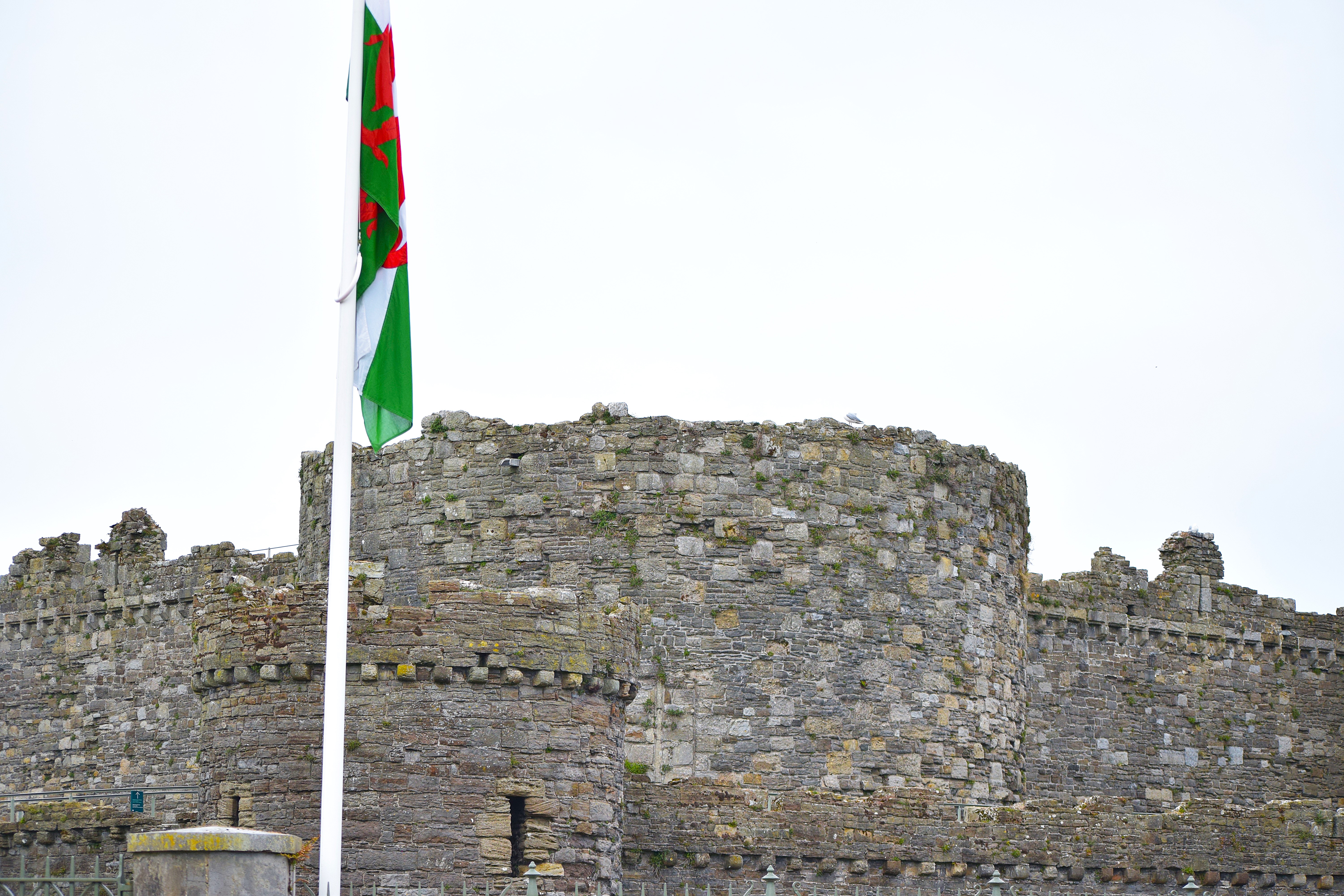 Beaumaris Castle