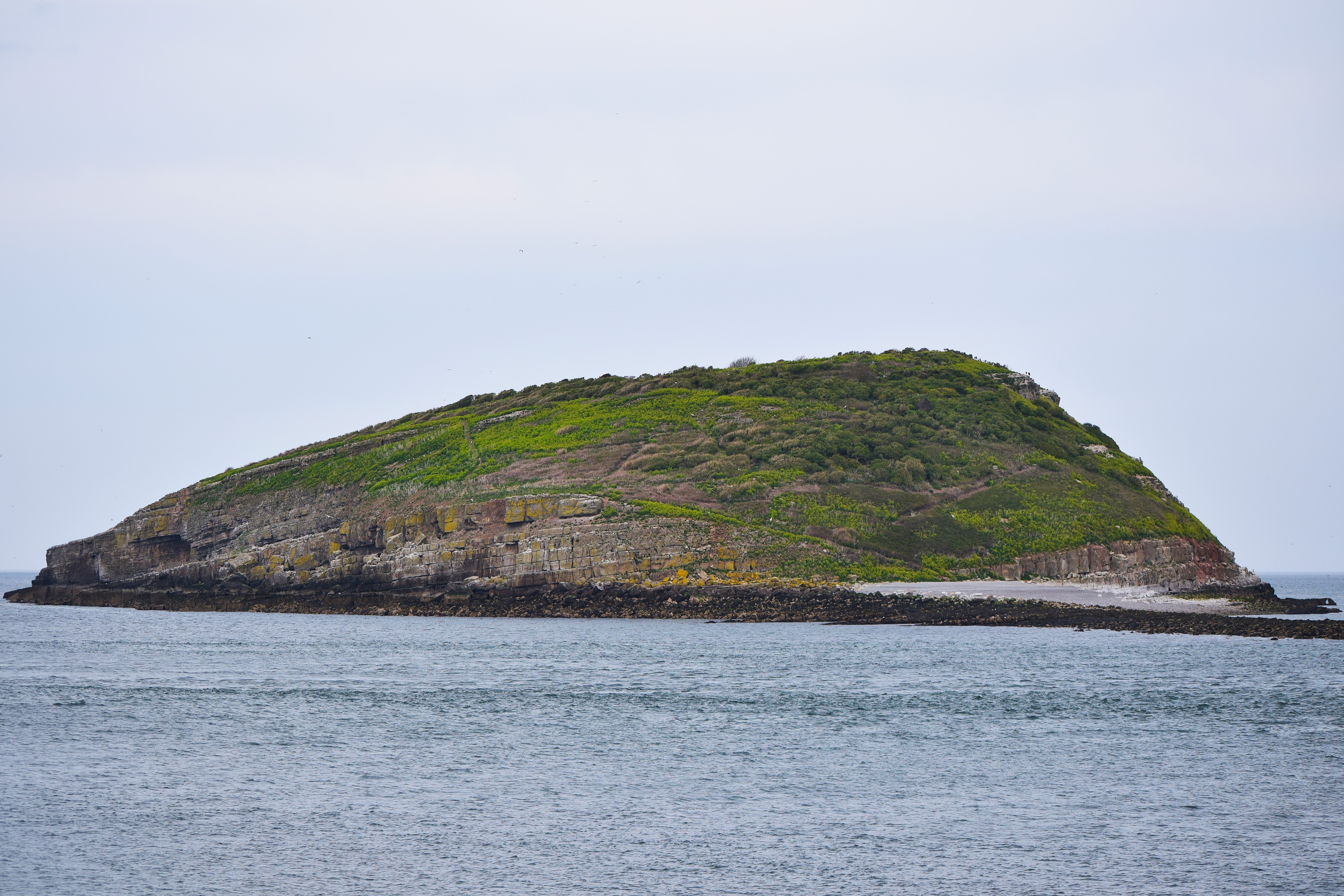 Puffin Island