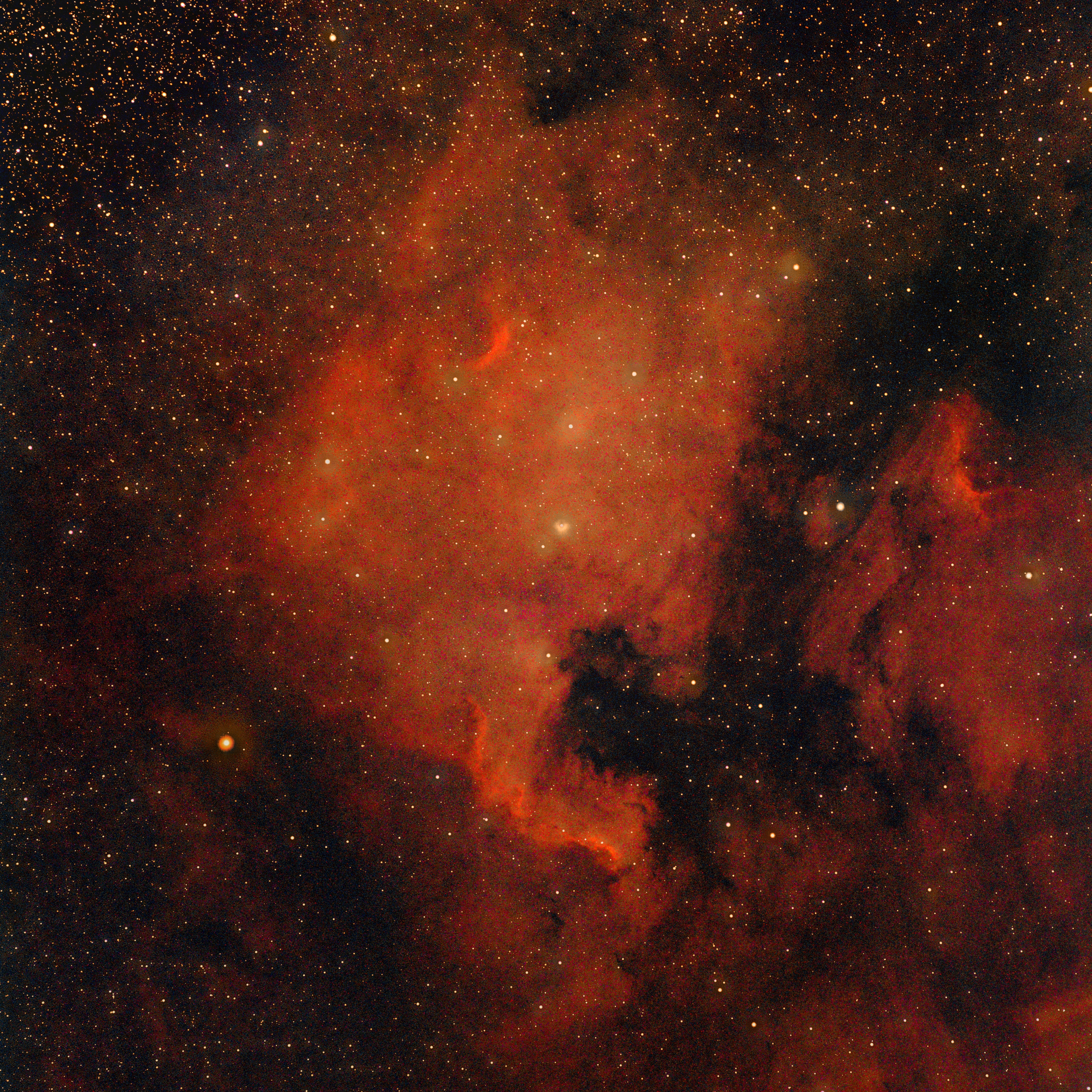 North American and Pelican Nebulae