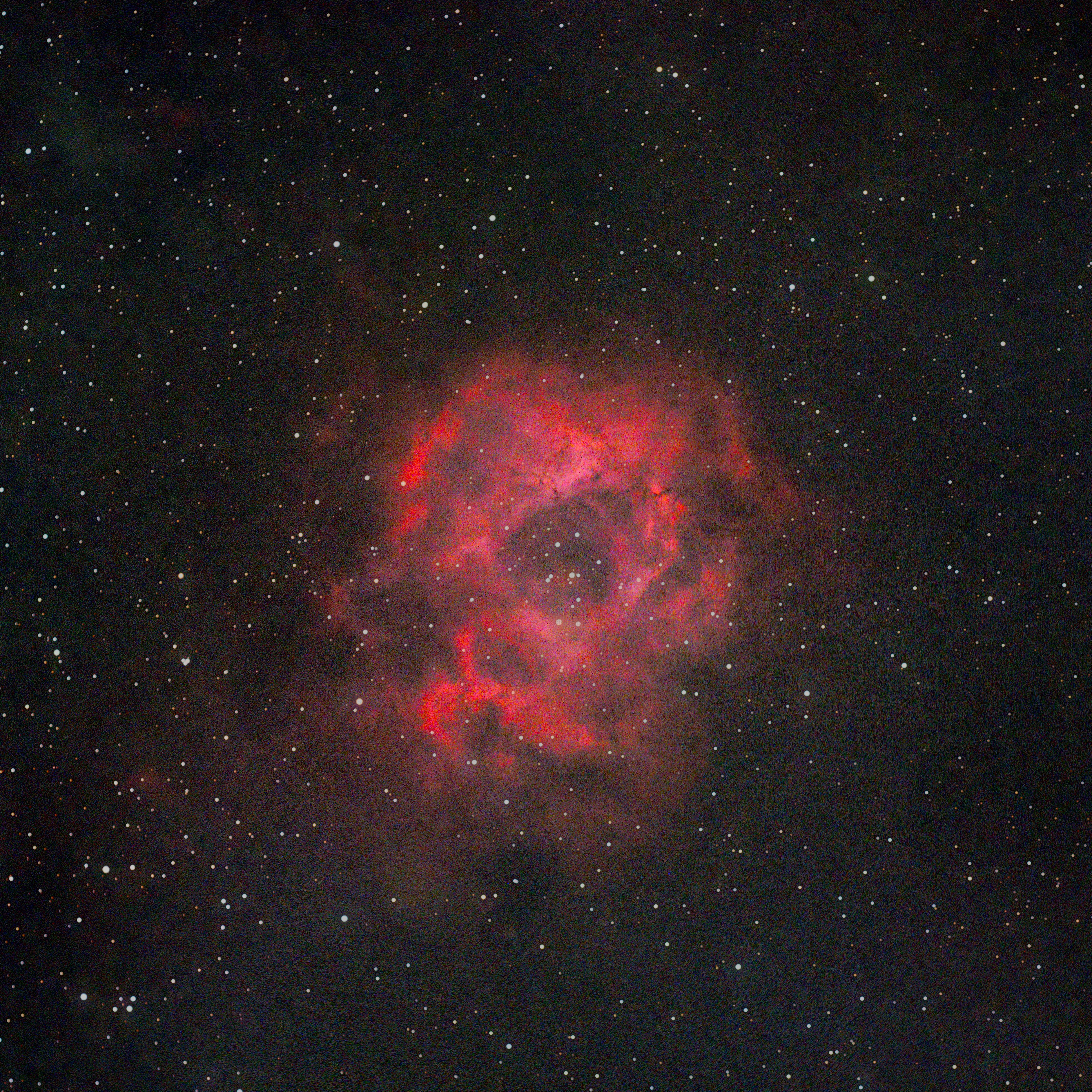 Rosette Nebula (NGC 2237)