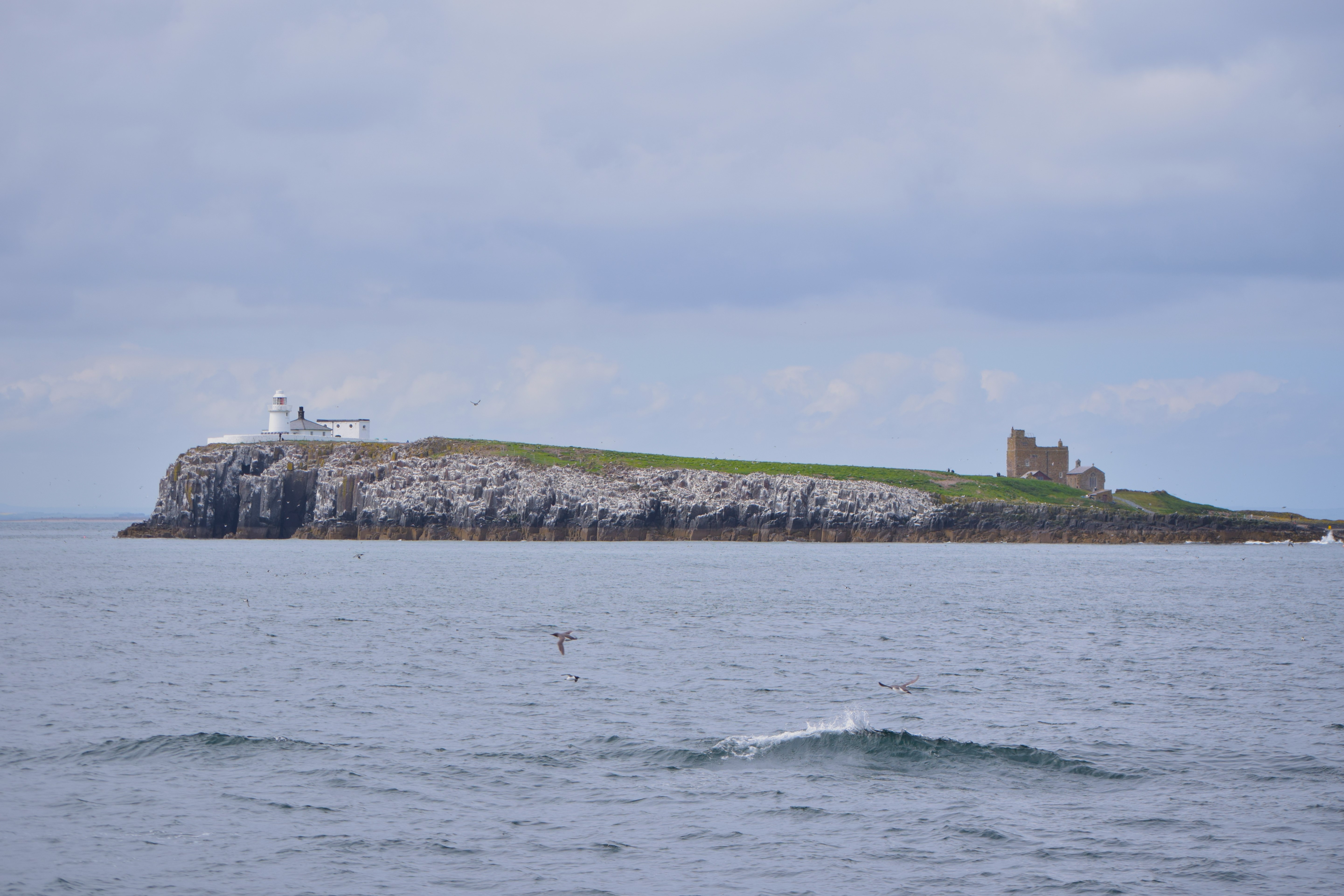 Inner Farne Island, as seen from the ferry