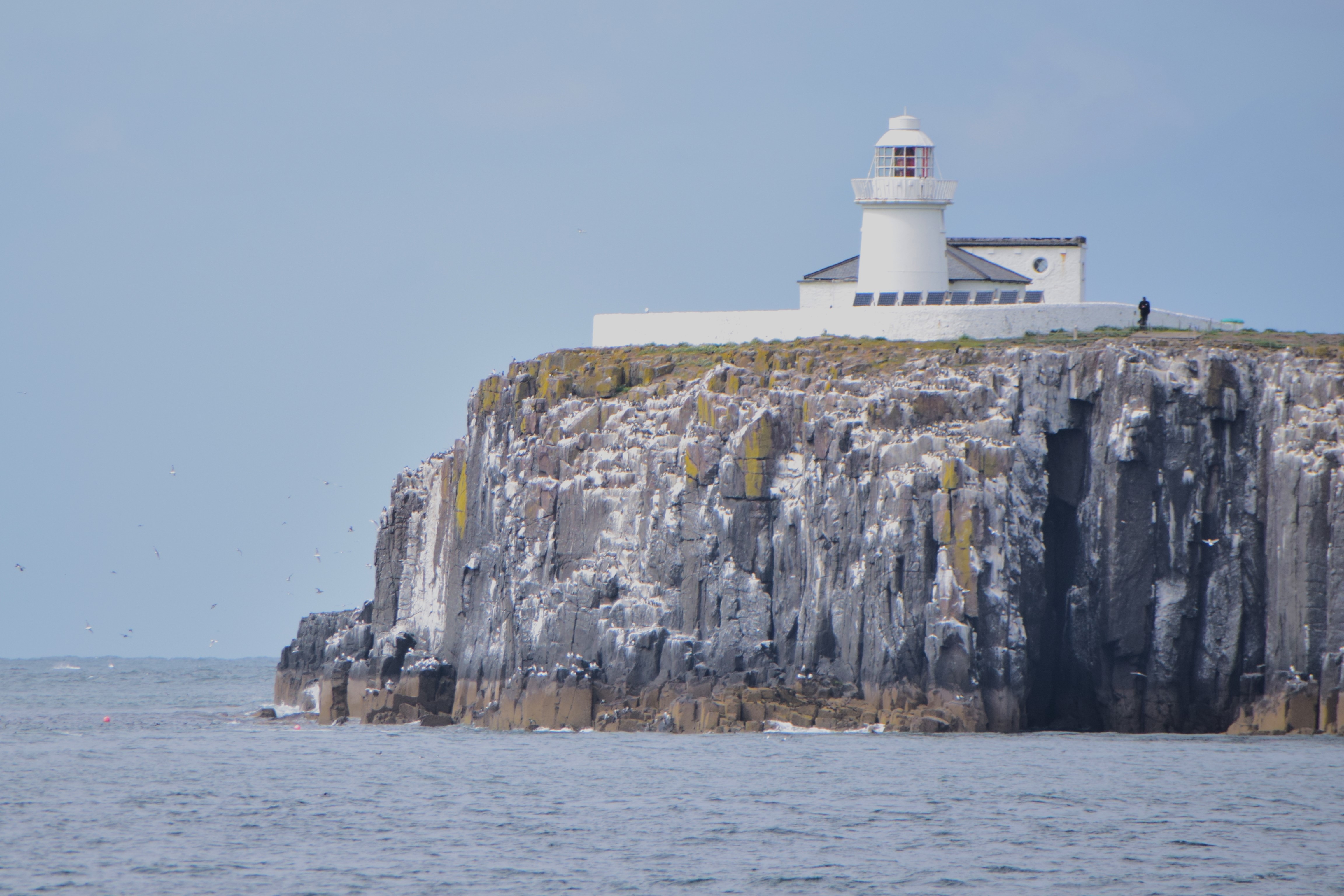 Inner Farne Lighthouse, at the other end of Inner Farne Island