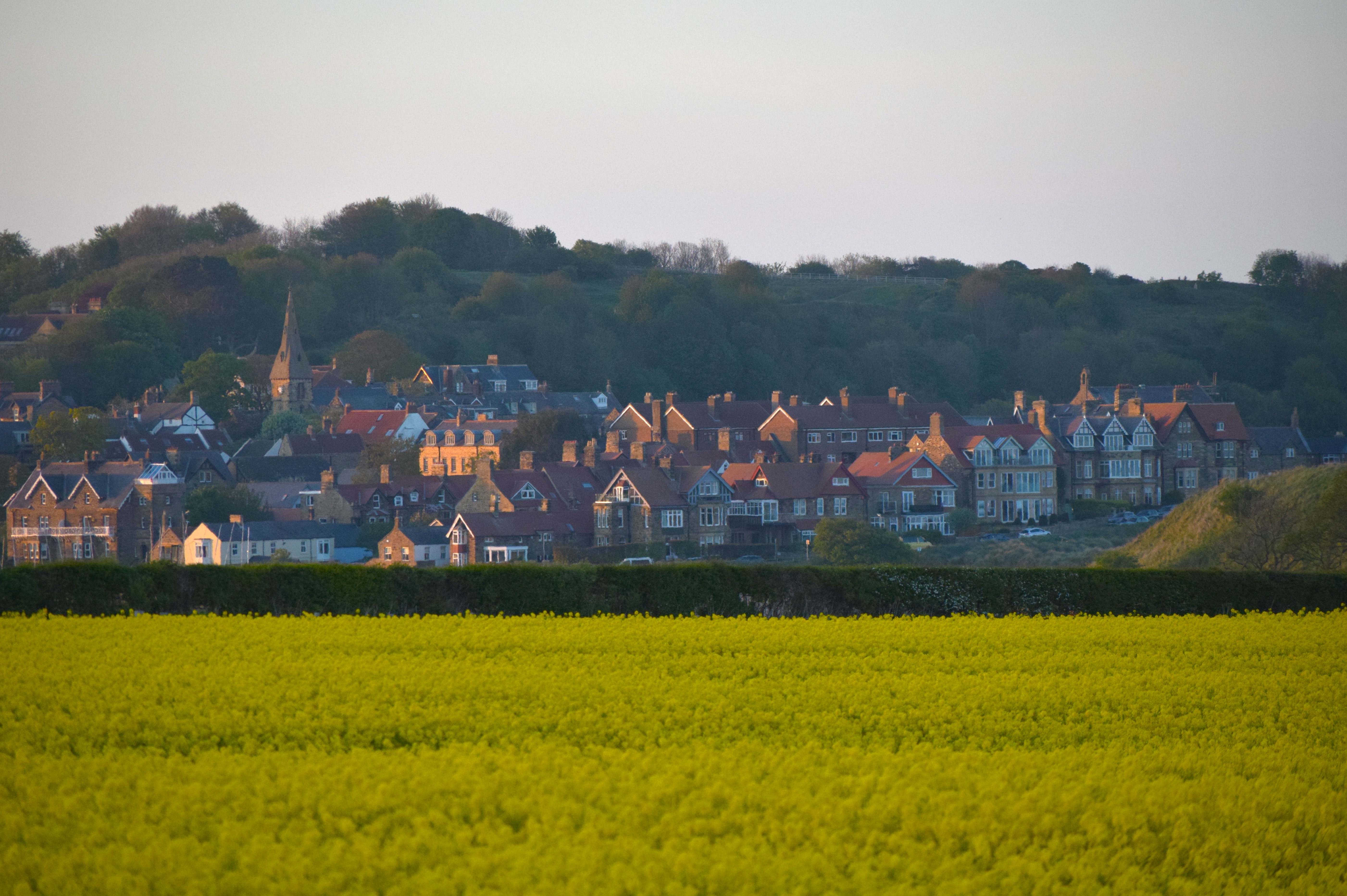 A Northumbrian village over a field