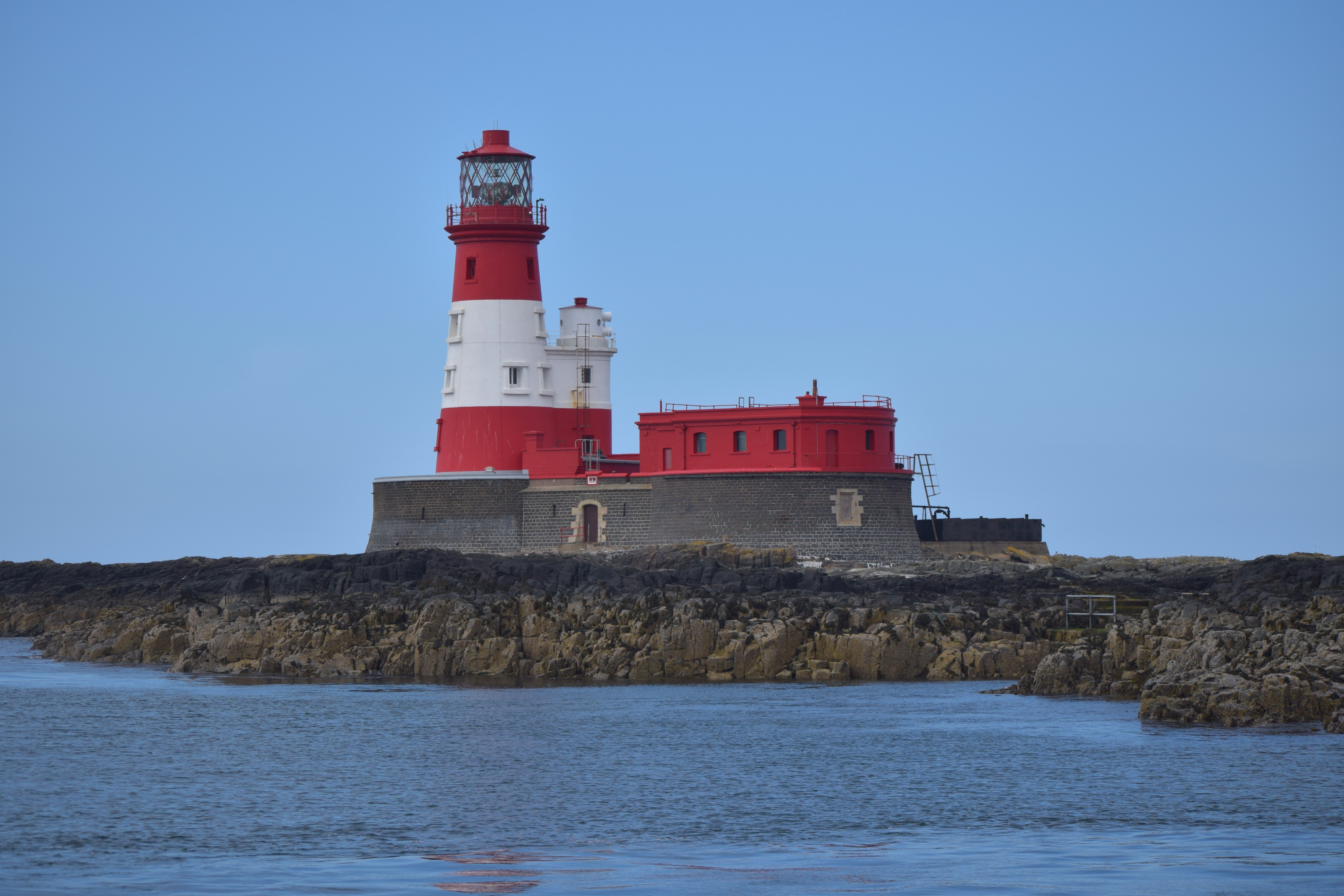 Farne Islands Trip