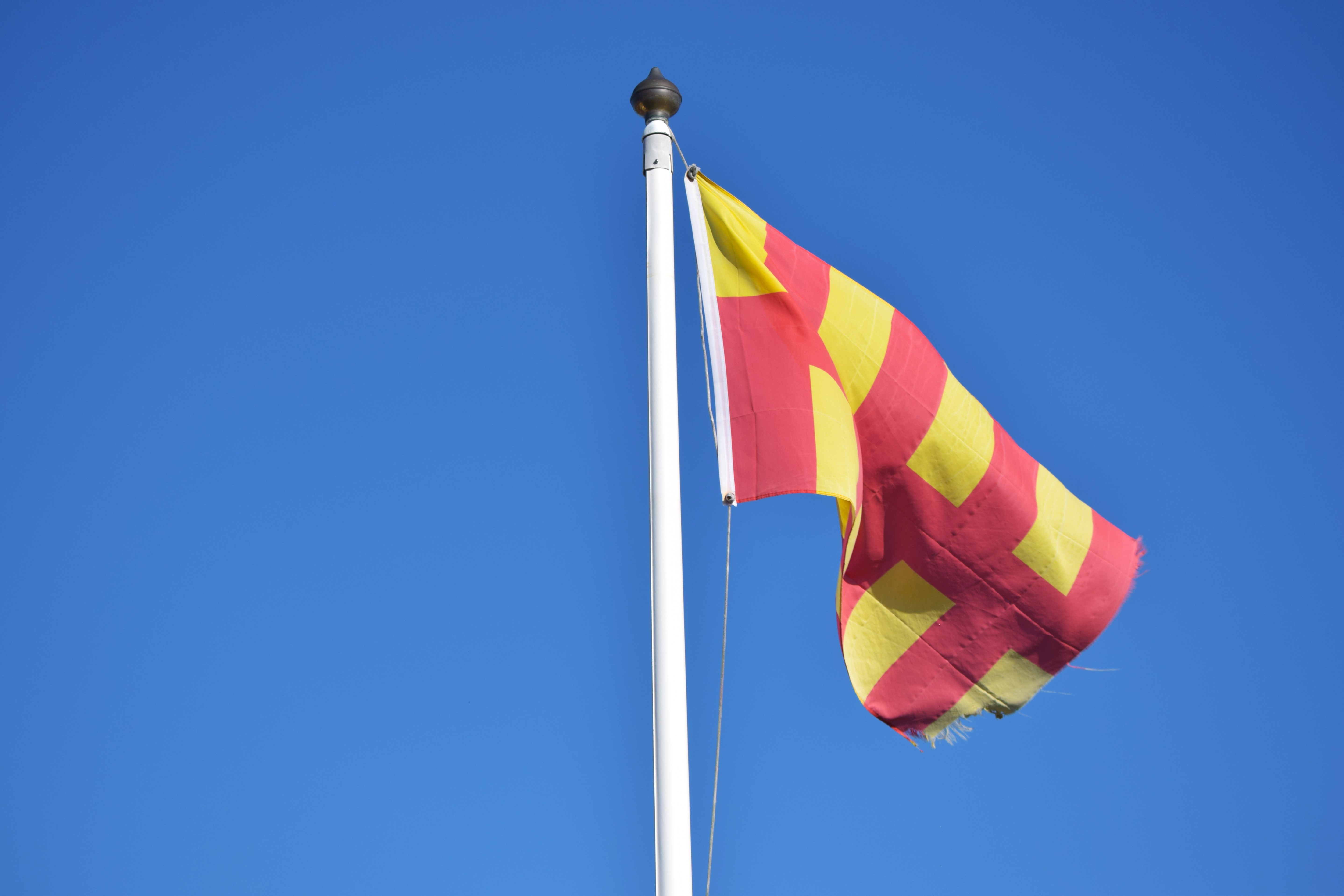 The flag of Northumberland