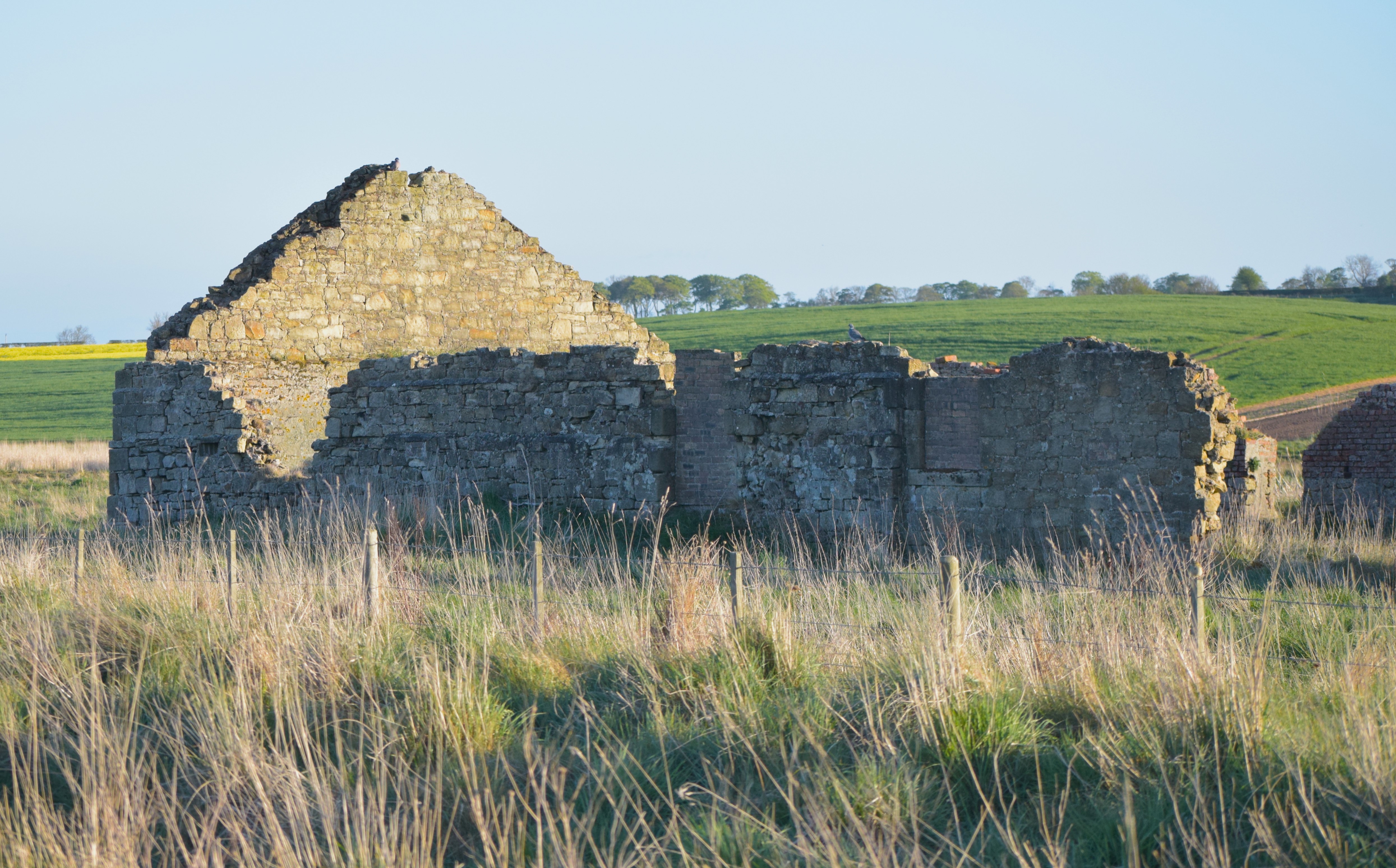 An old barnhouse that has fallen into ruin