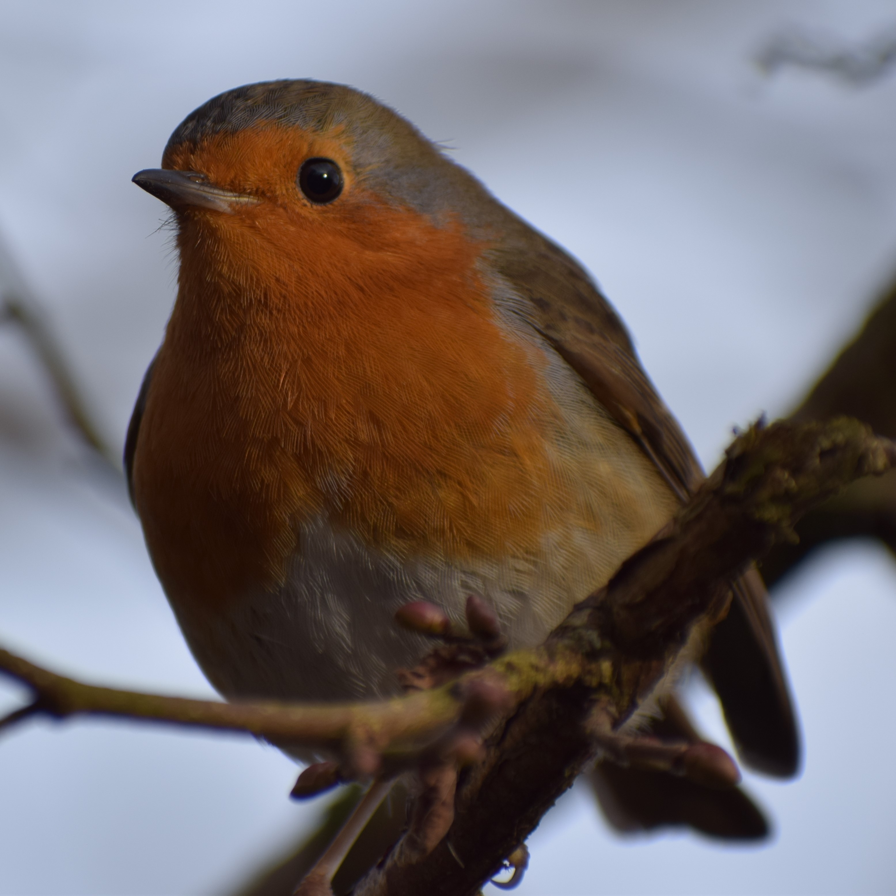 Favourite Nature Photography