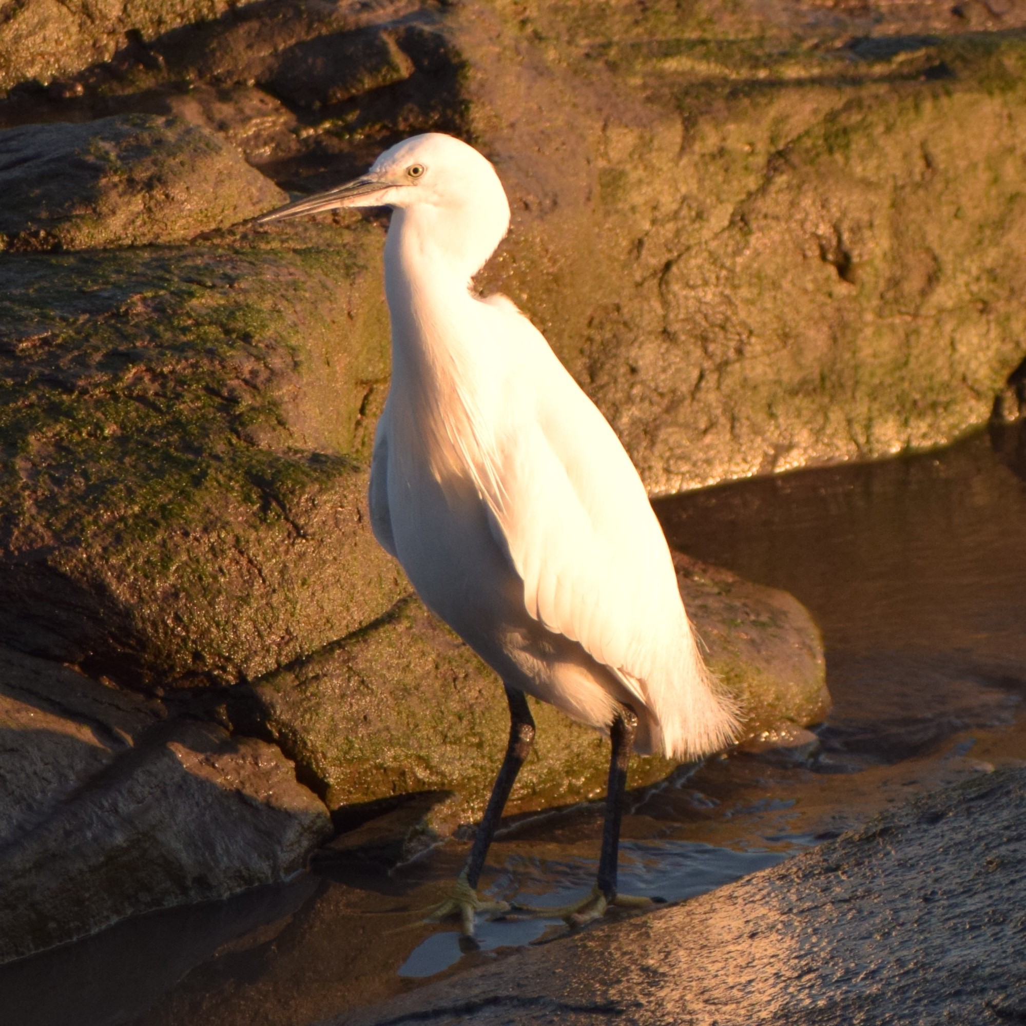 Favourite Nature Photography