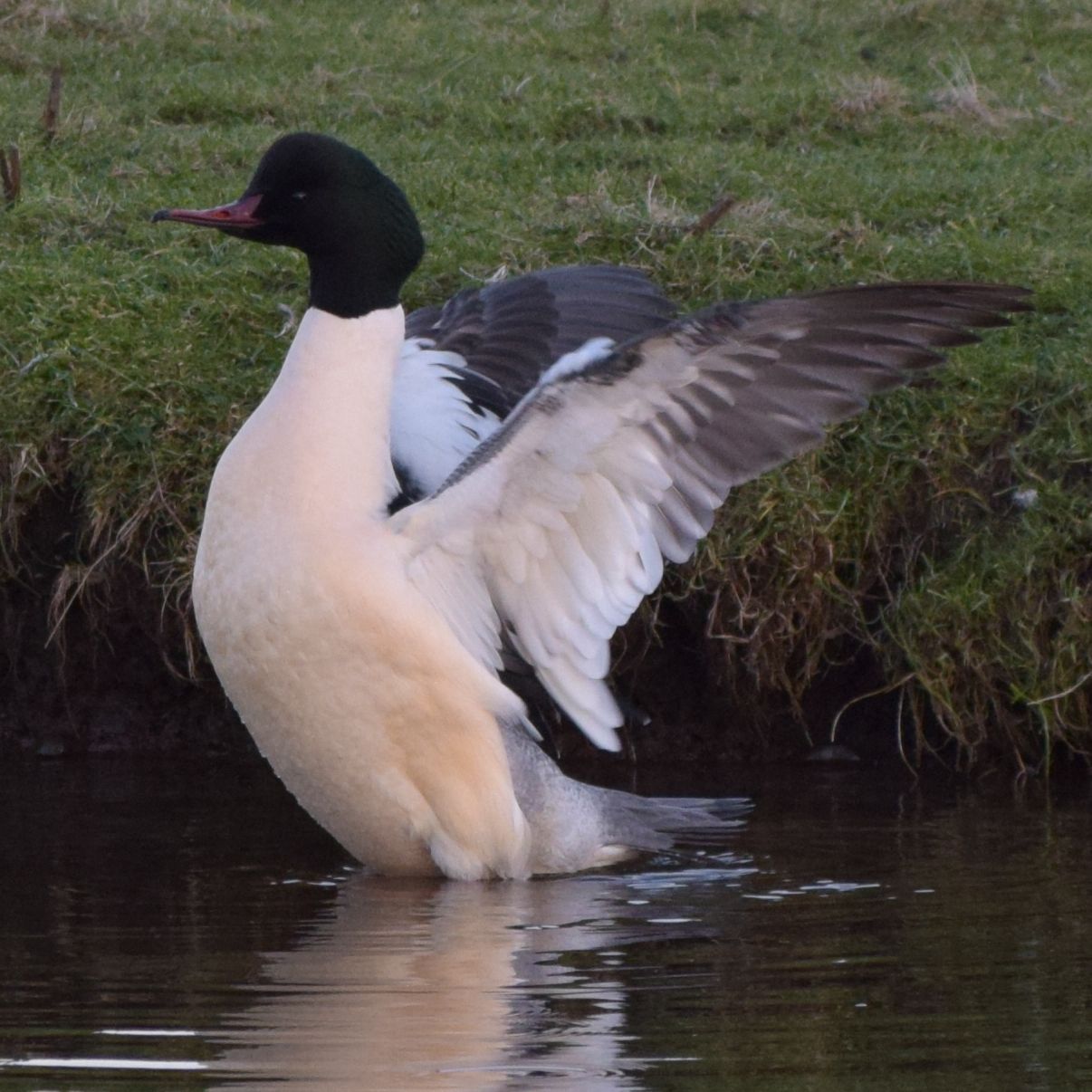 Favourite Nature Photography