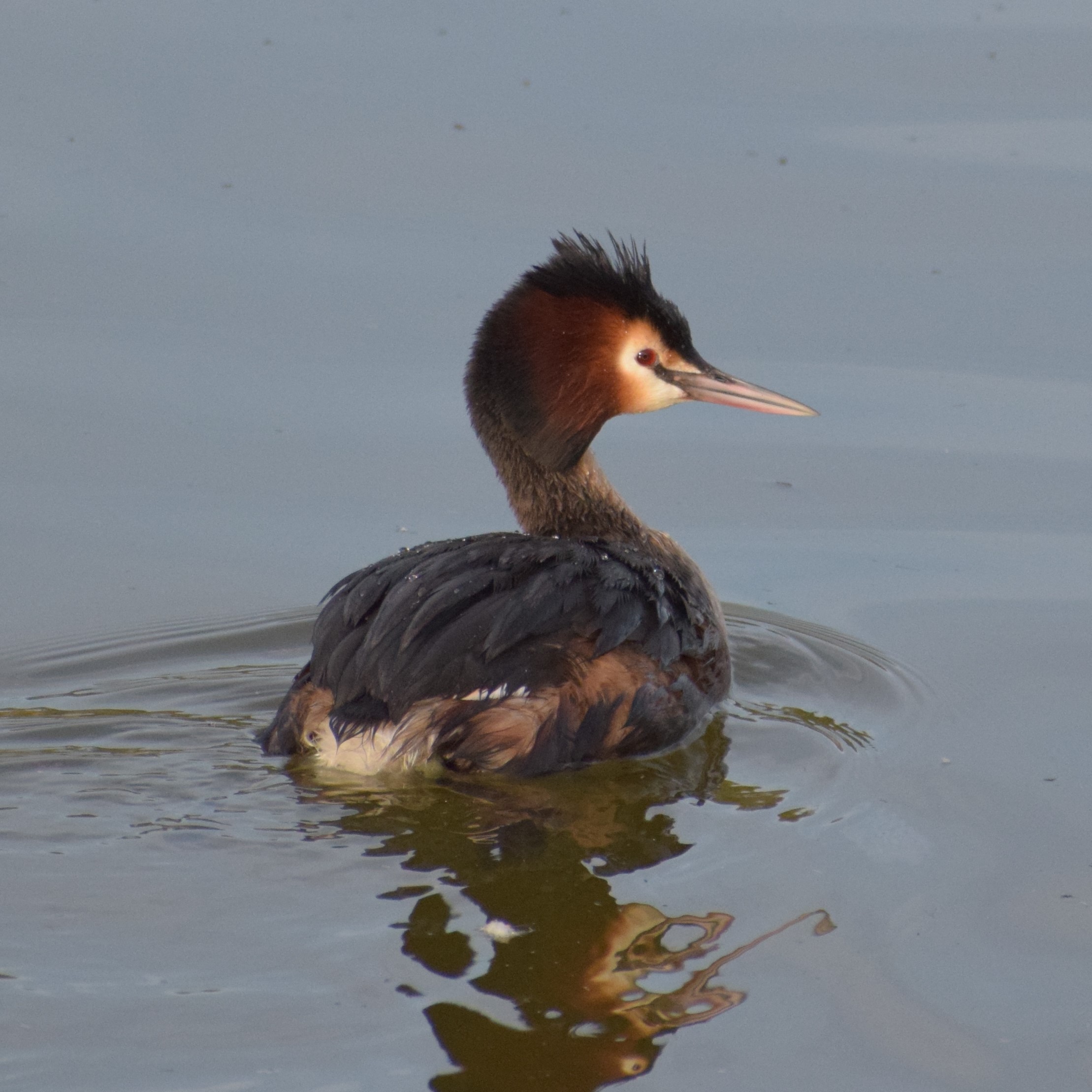 Favourite Nature Photography