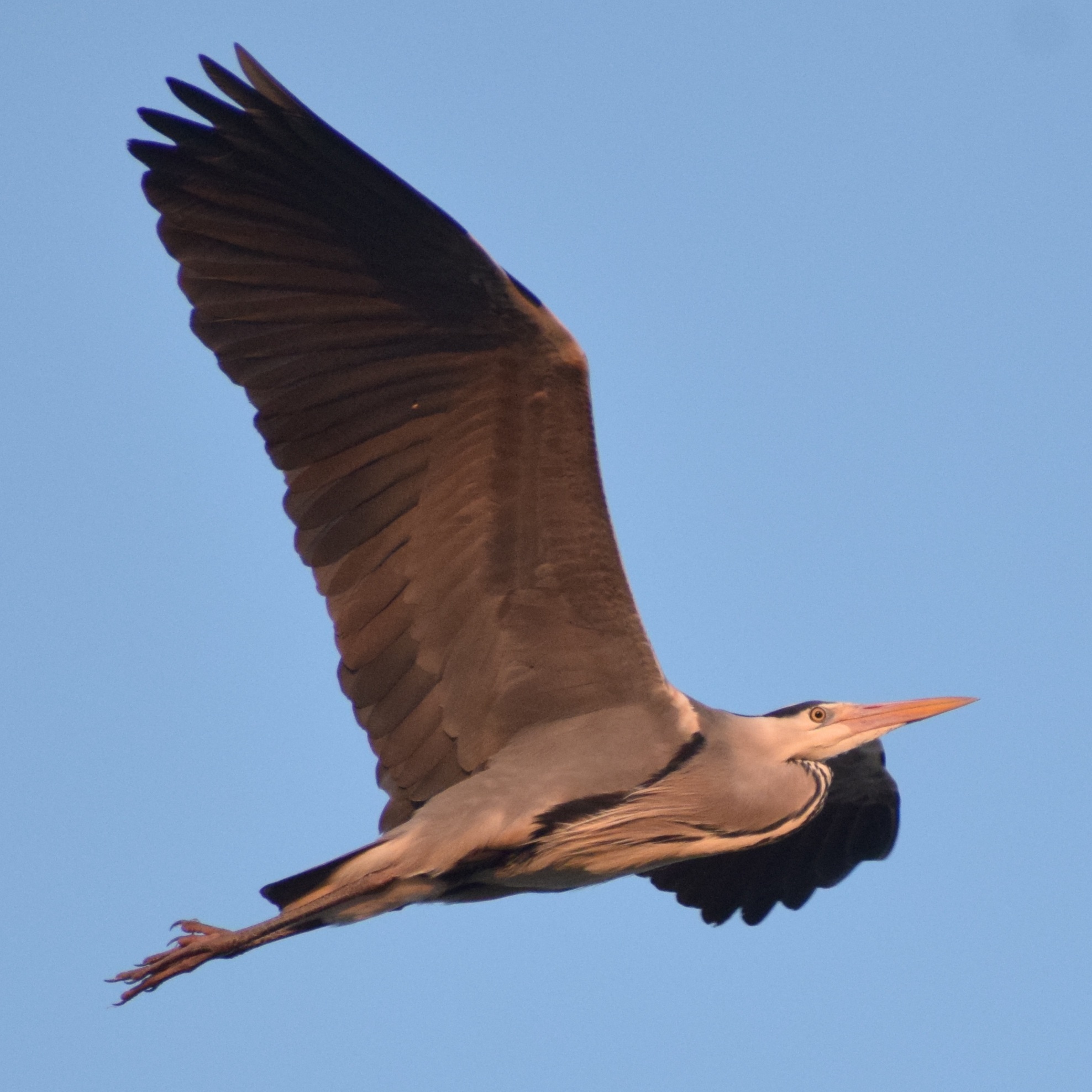 Favourite Nature Photography