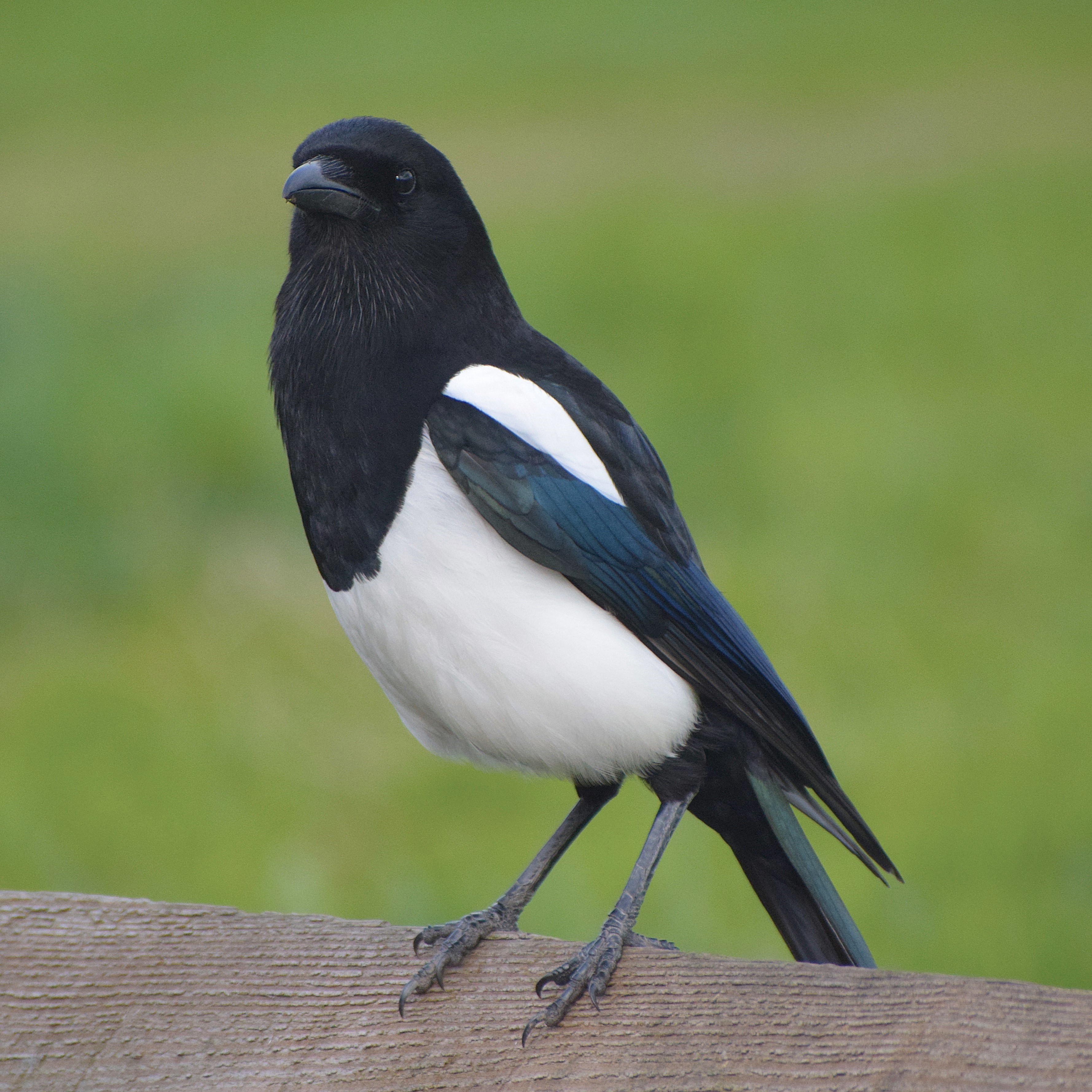 Favourite Nature Photography