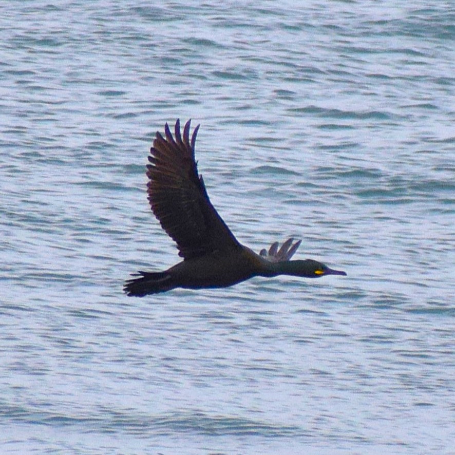 Favourite Nature Photography