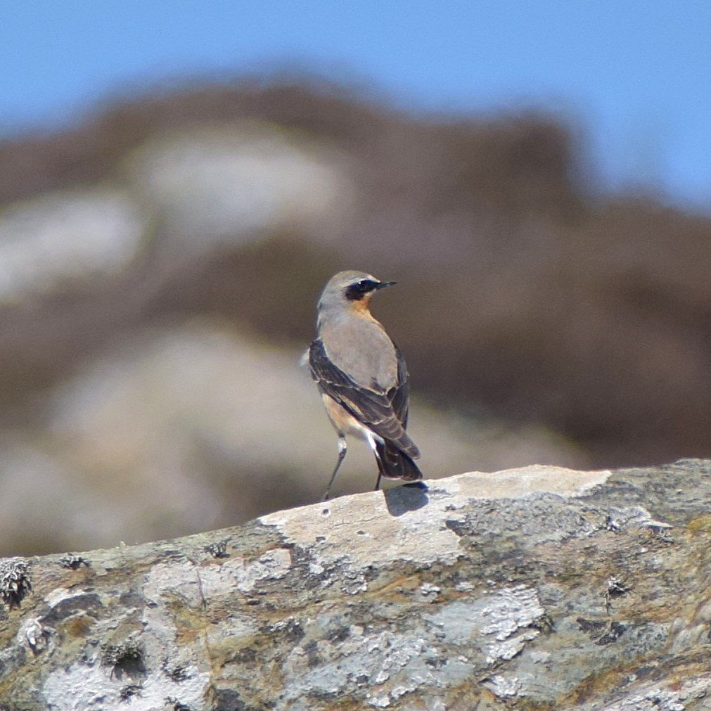 Favourite Nature Photography